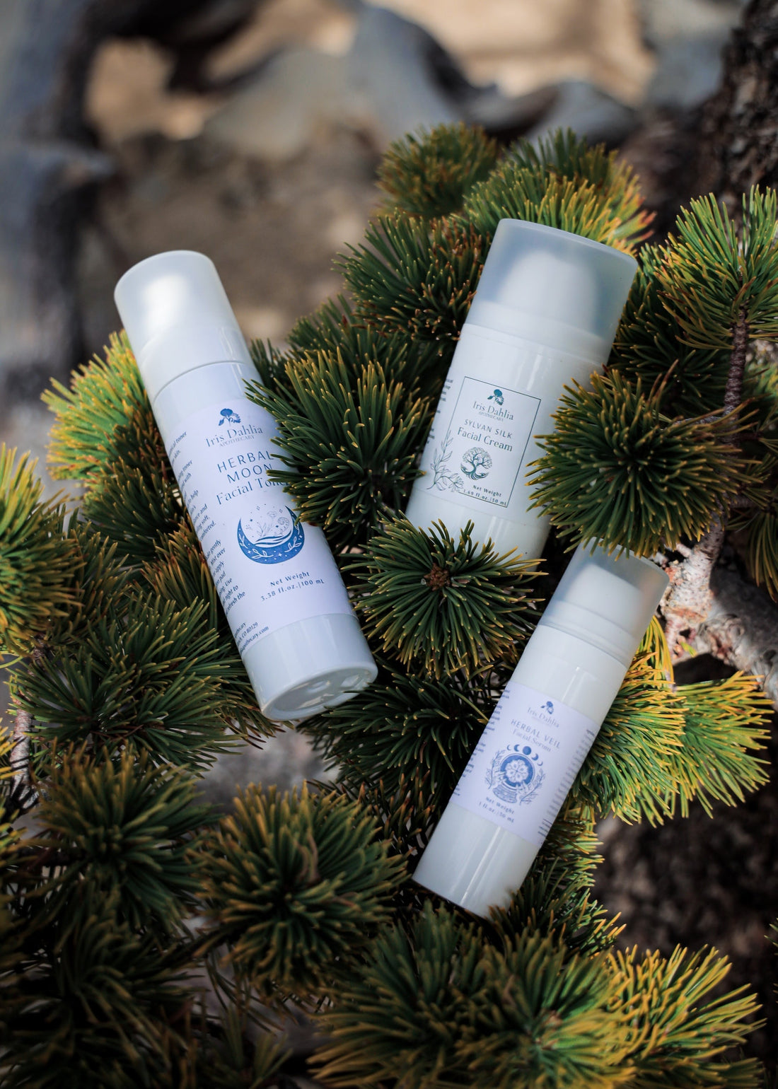 🌿 Why I Created the Woodland Enchantment Collection