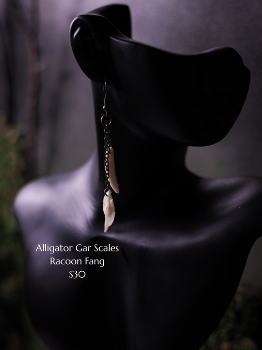 Alligator Gar Scale and Racoon Fang Earrings