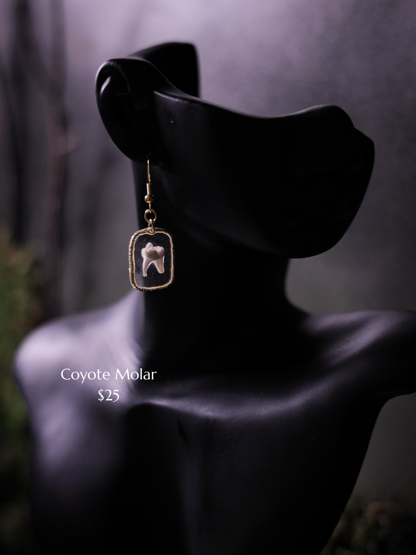 Coyote Molar Earrings