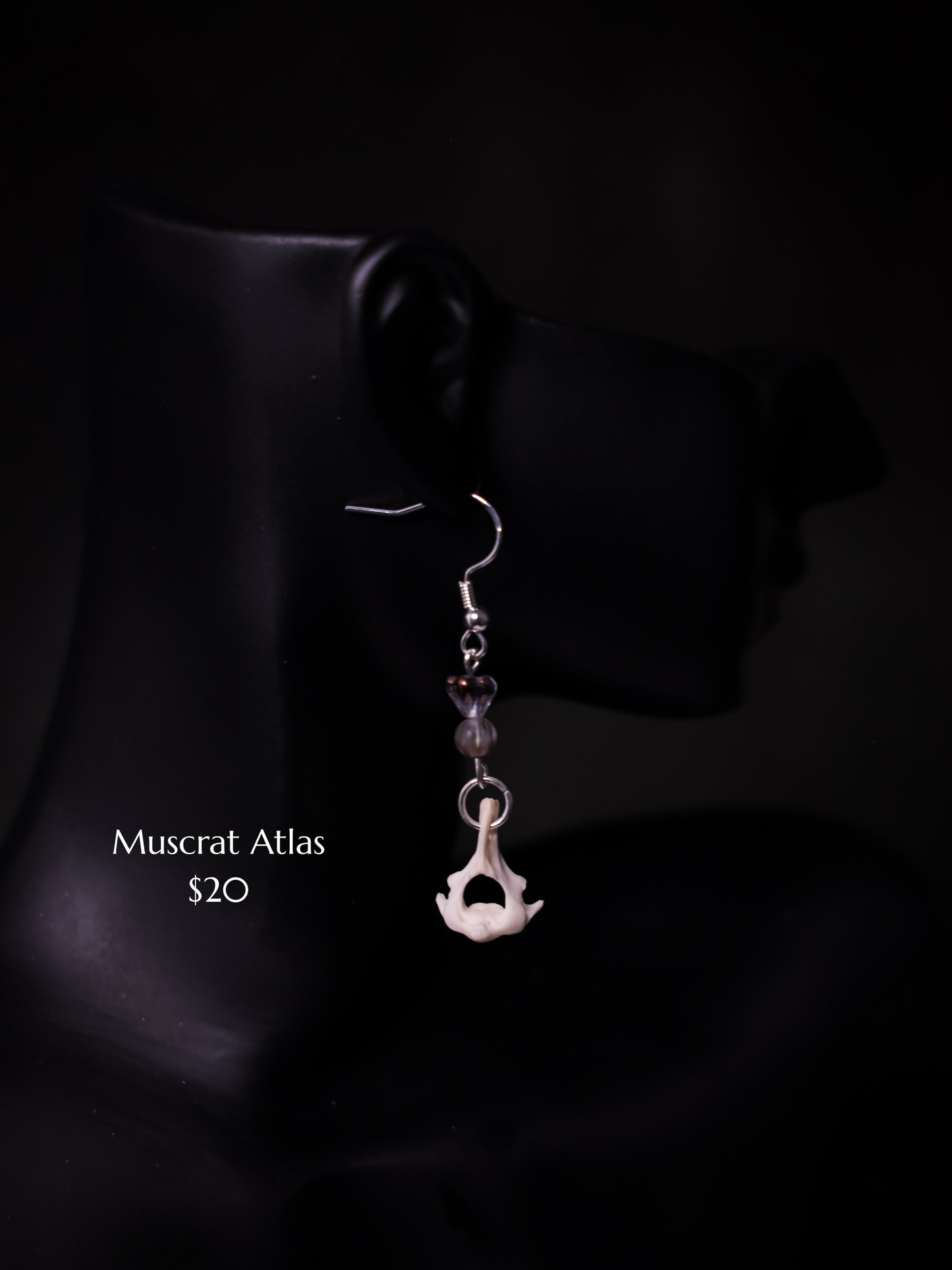 Muskrat Atlas Dangle Earring