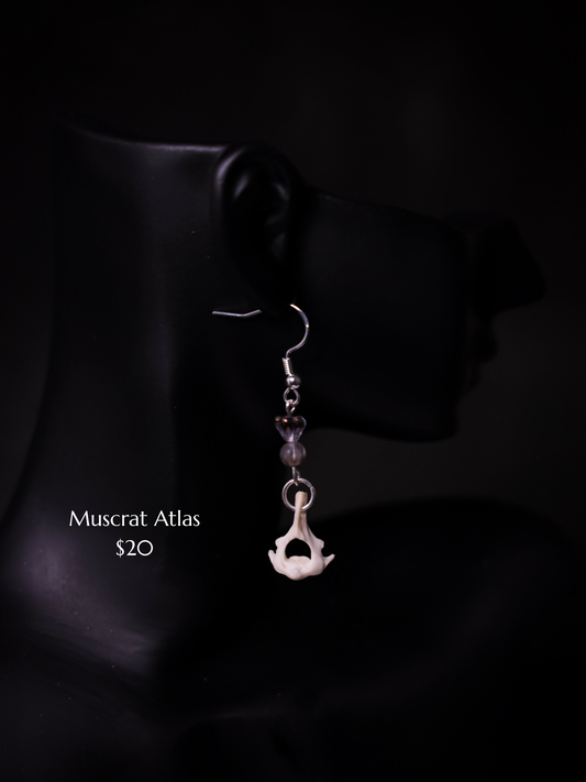 Muskrat Atlas Dangle Earring