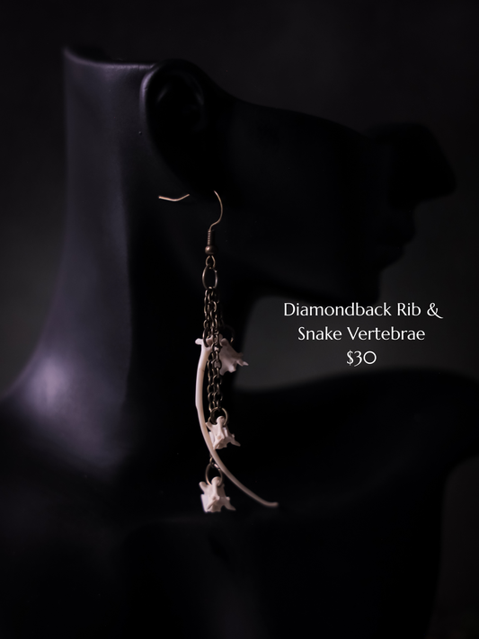 Diamondback Rib and Snake Vertebrae Earrings