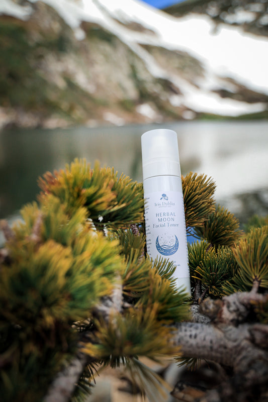 Woodland Enchantments Skincare Ritual Kit - Iris Dahlia Apothecary