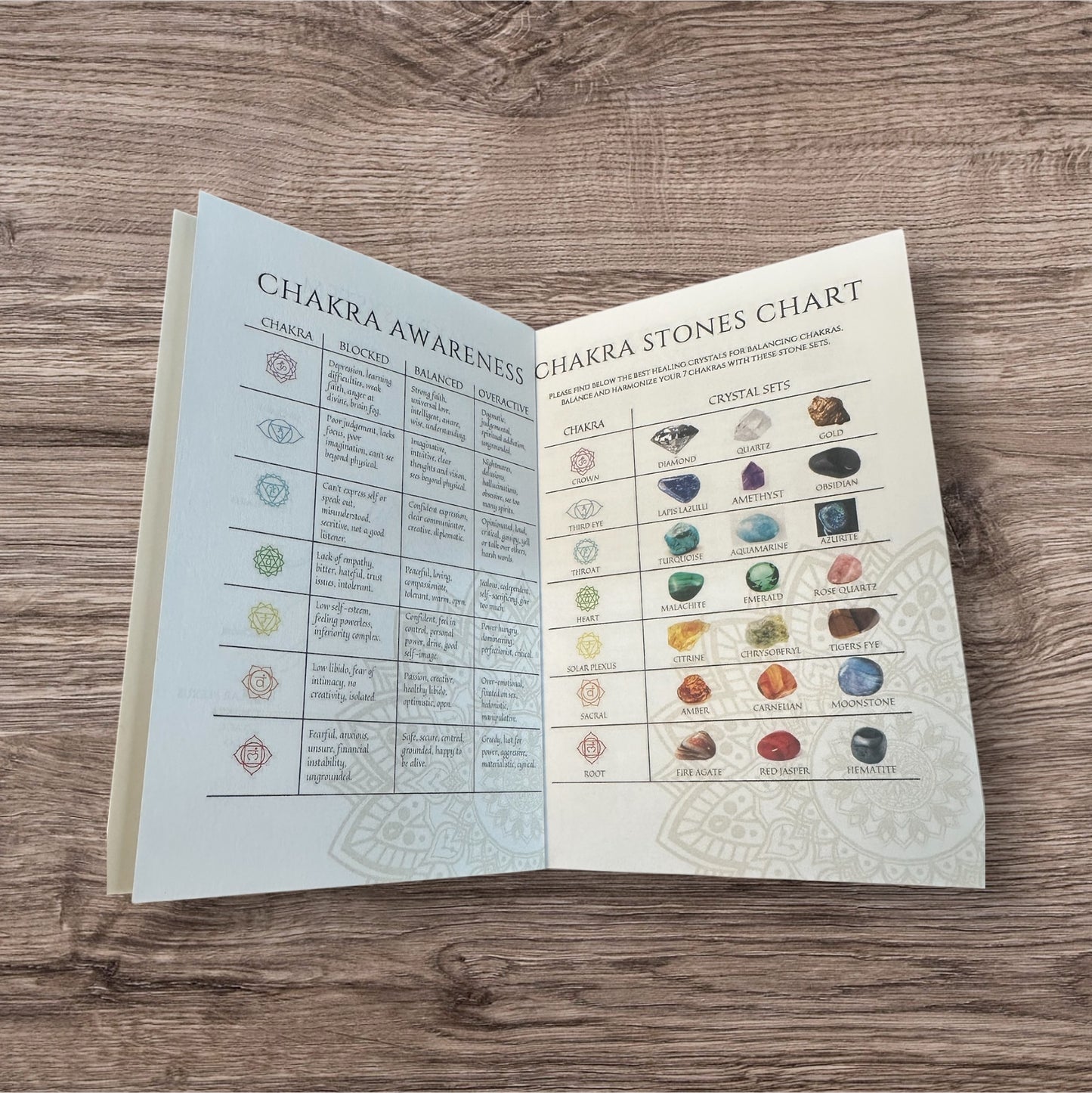 Manifestation Journal & Undated Planner - Iris Dahlia Apothecary