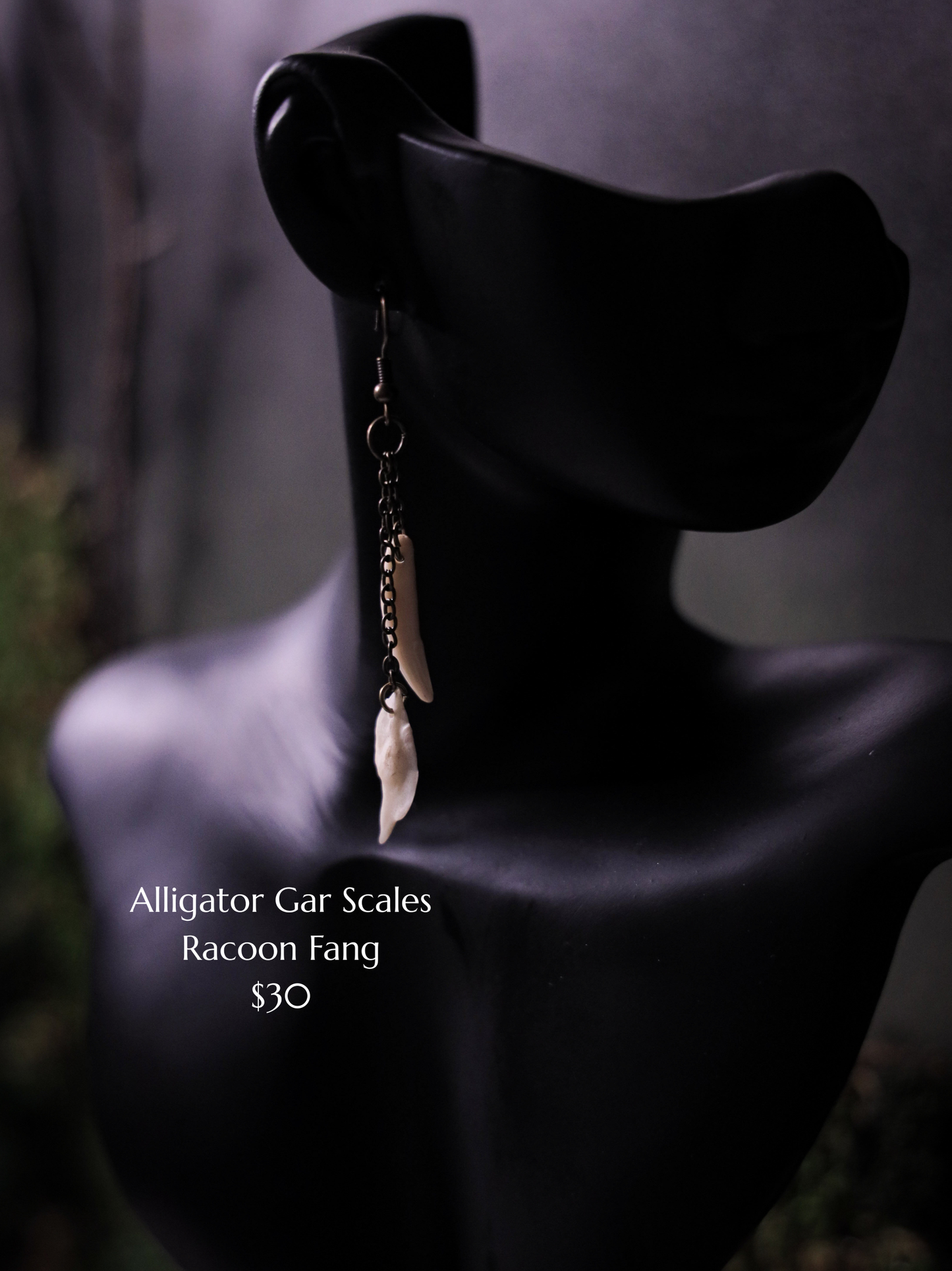 Alligator Gar Scale and Racoon Fang Earrings