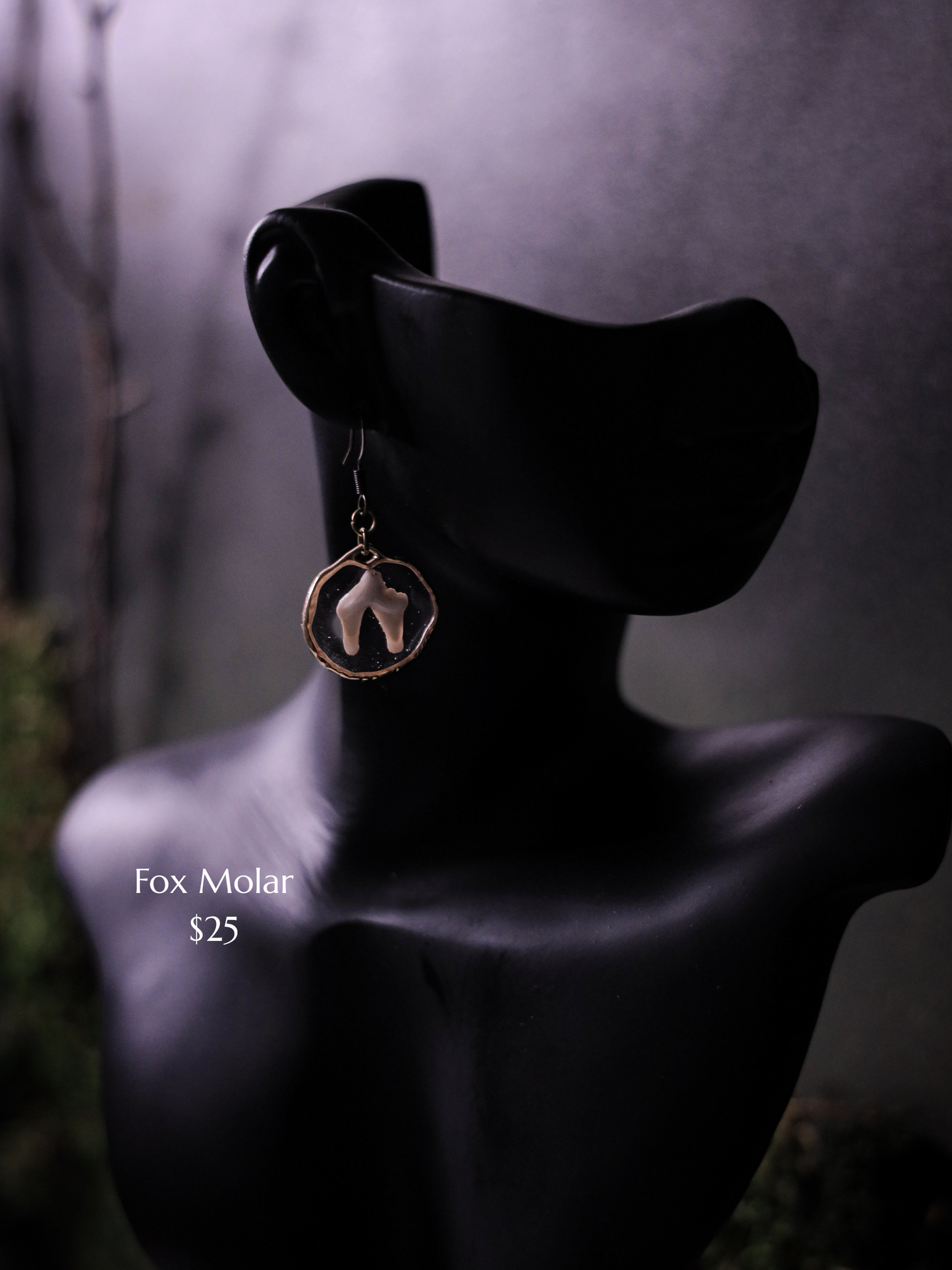 Fox Molar Earrings