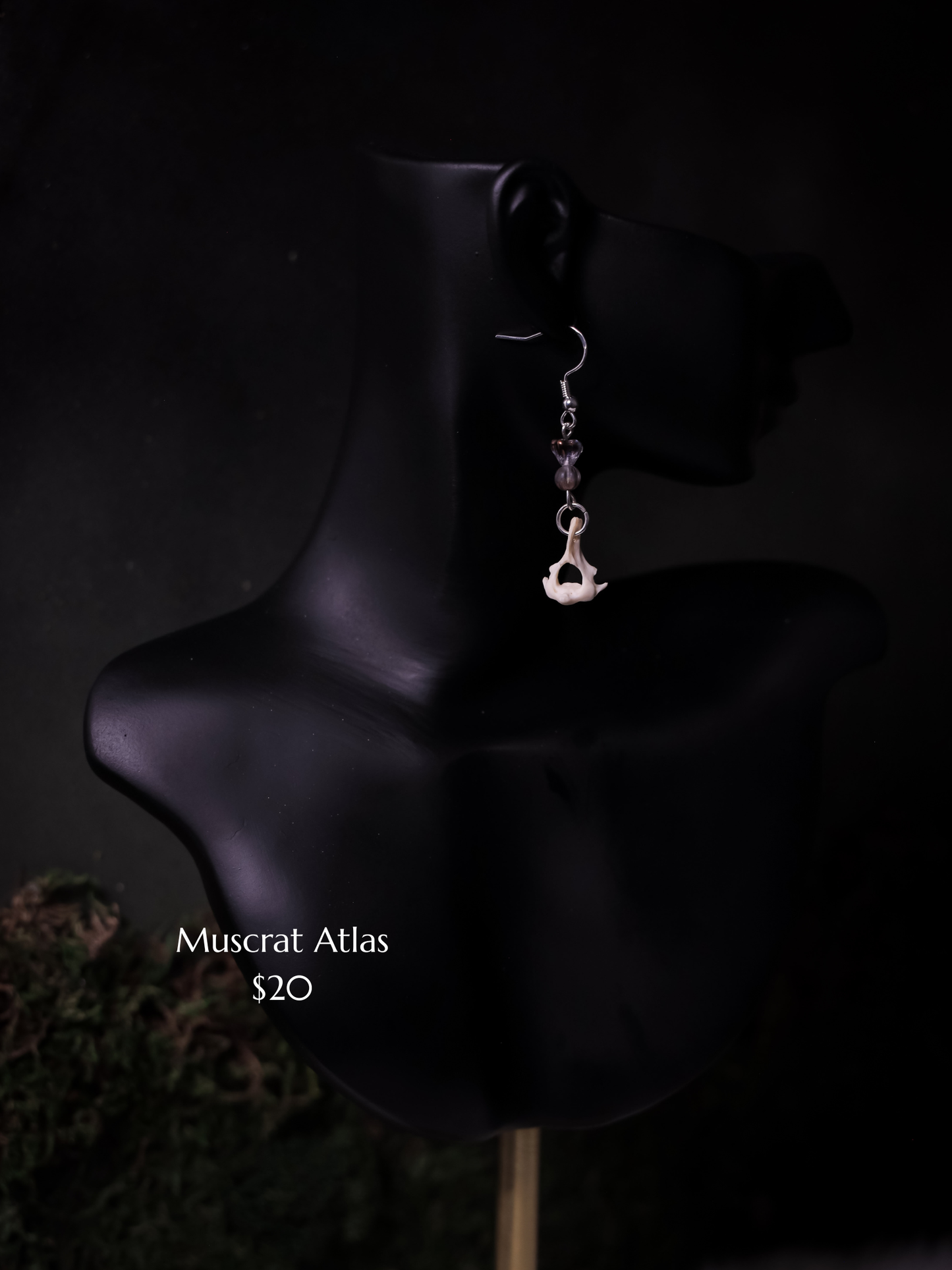 Muskrat Atlas Dangle Earring