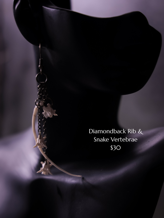 Diamondback Rib and Snake Vertebrae Earrings