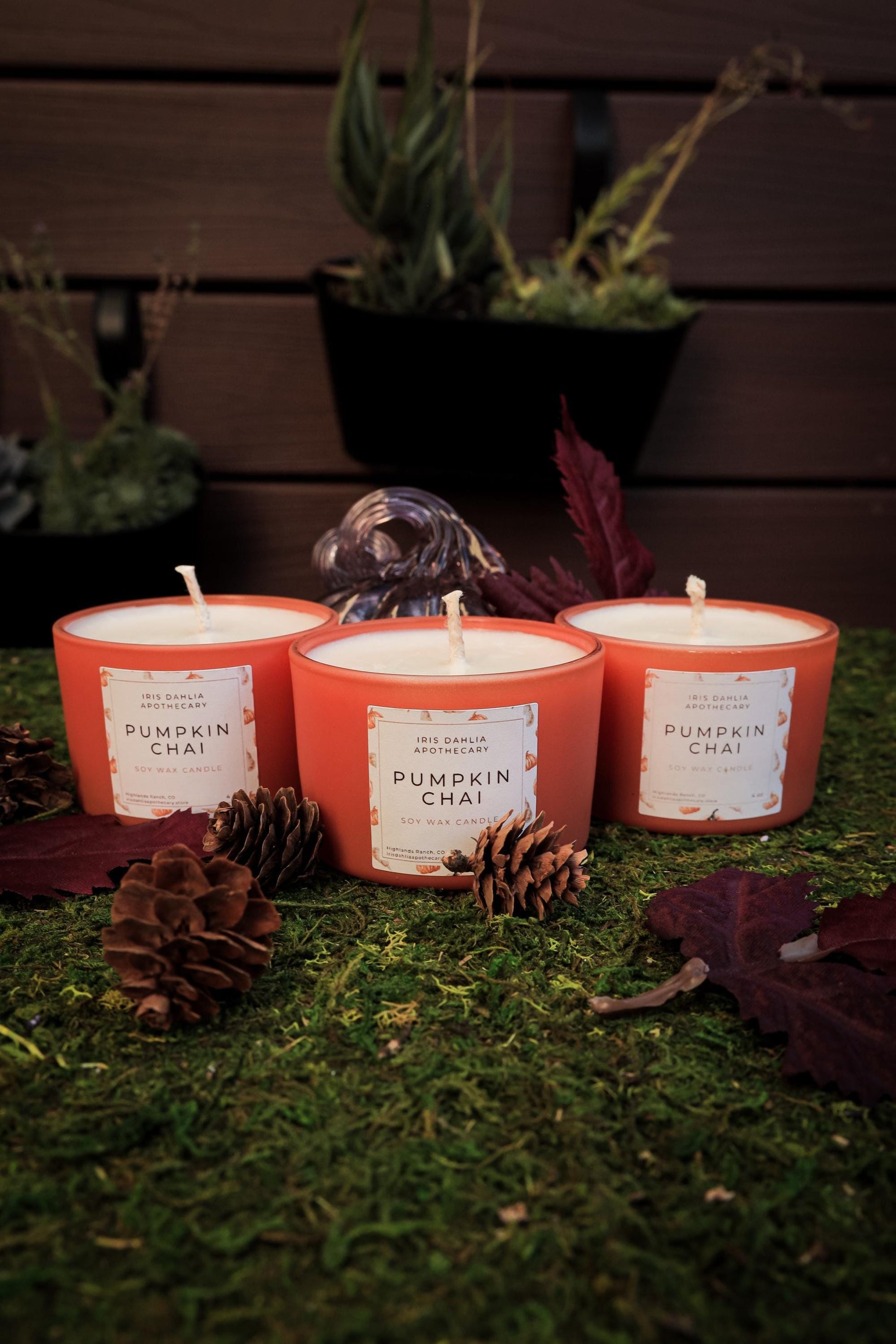 Fall Aromatherapy Soy Candle Collection for Relaxing