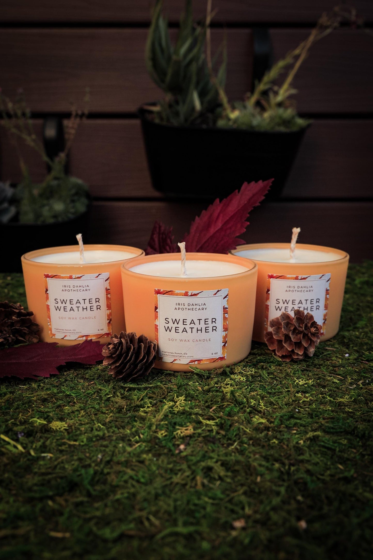 Fall Aromatherapy Soy Candle Collection for Relaxing