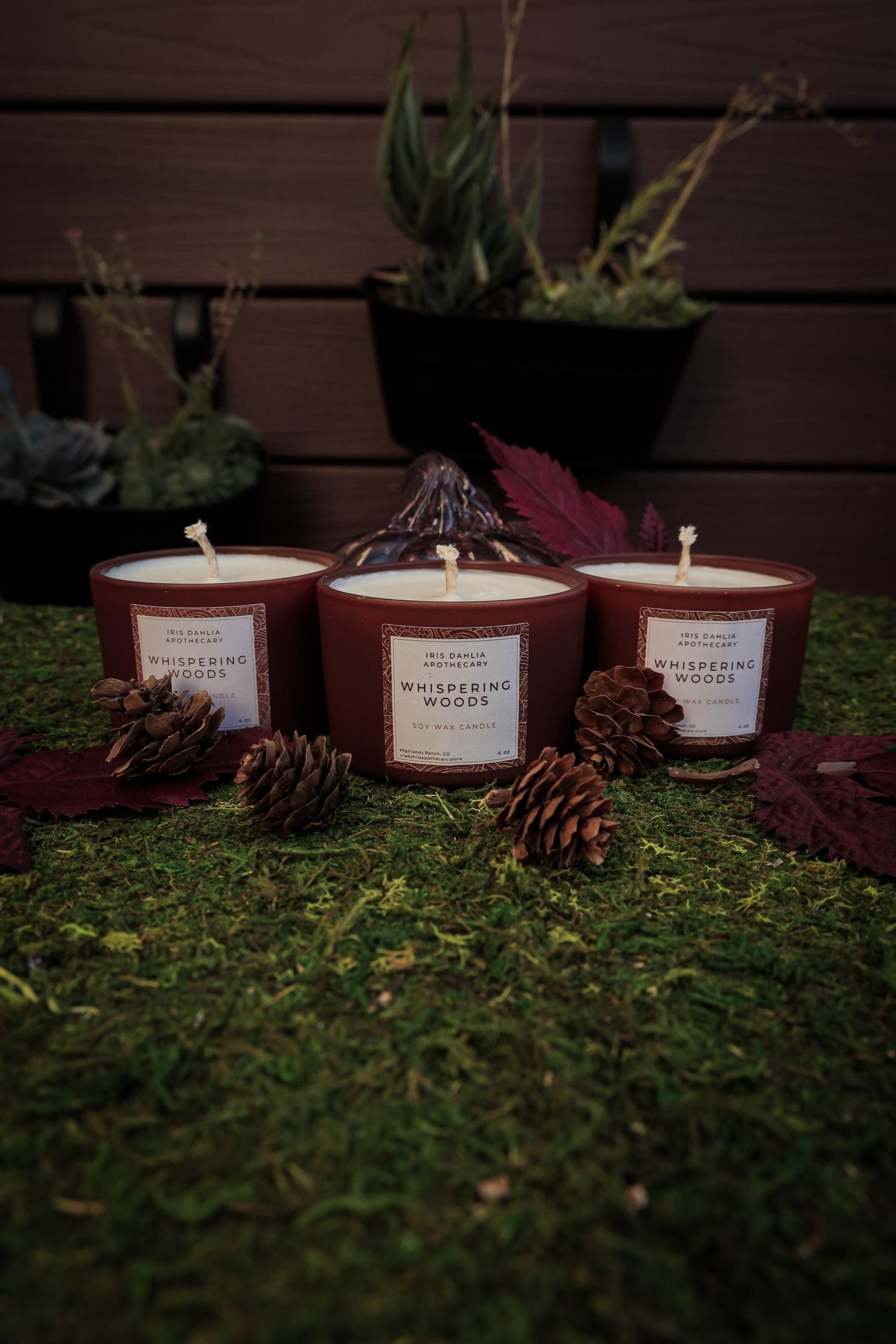 Fall Aromatherapy Soy Candle Collection for Relaxing